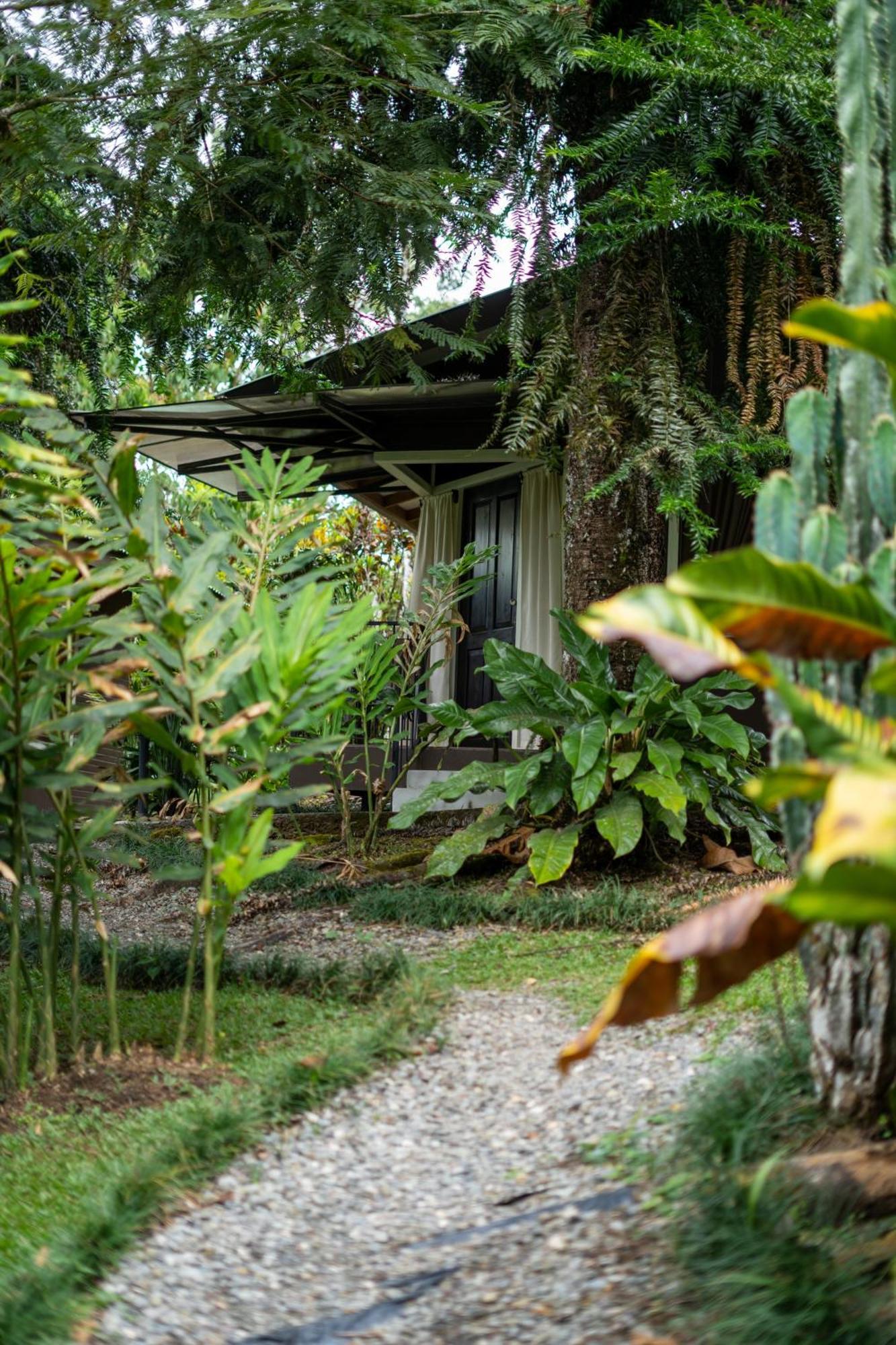 San Vito Cabanas Green House מראה חיצוני תמונה