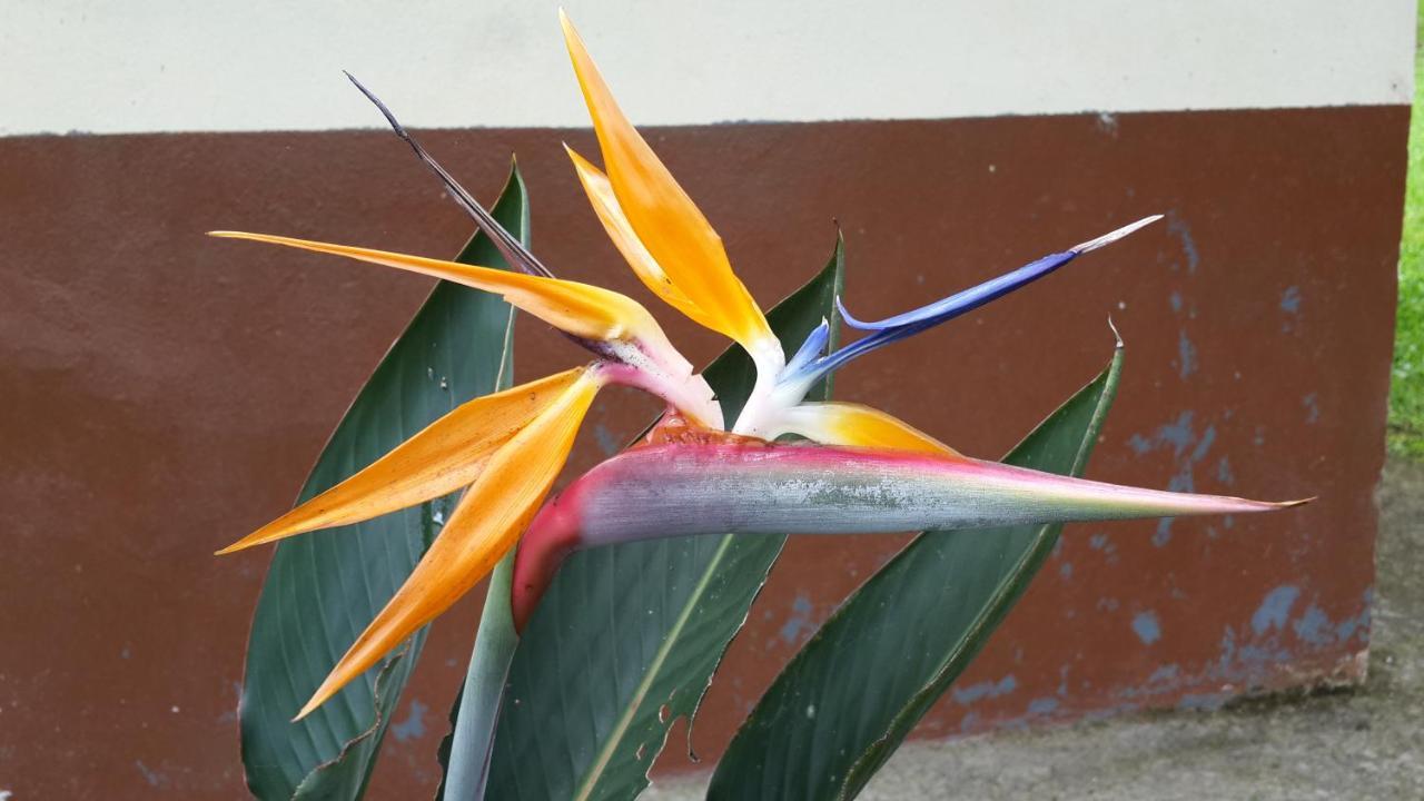 San Vito Cabanas Green House מראה חיצוני תמונה